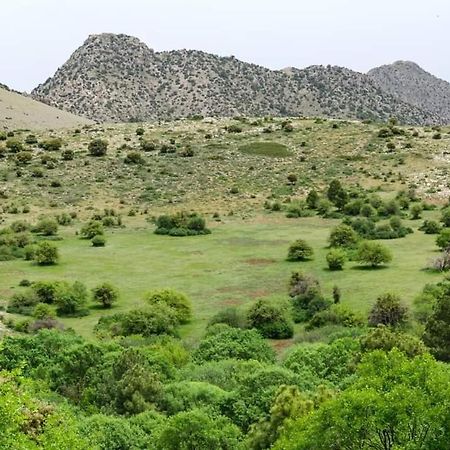 Bélmez de la Moraleda Casa Rural Casa Gonzalo 게스트하우스 외부 사진