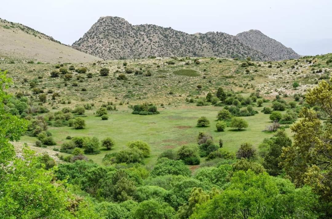 Bélmez de la Moraleda Casa Rural Casa Gonzalo 게스트하우스 외부 사진