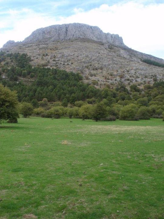 Bélmez de la Moraleda Casa Rural Casa Gonzalo 게스트하우스 외부 사진